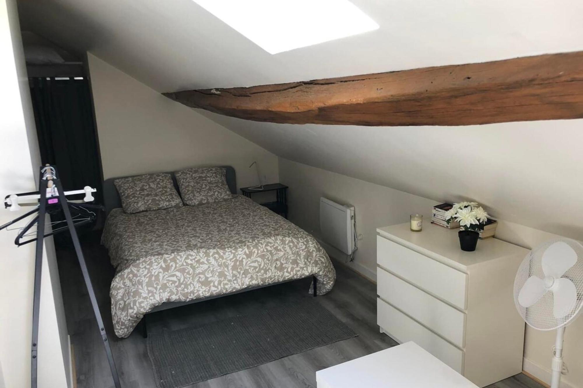 Charmant Duplex - Chez Delpha Fontainebleau Eksteriør billede